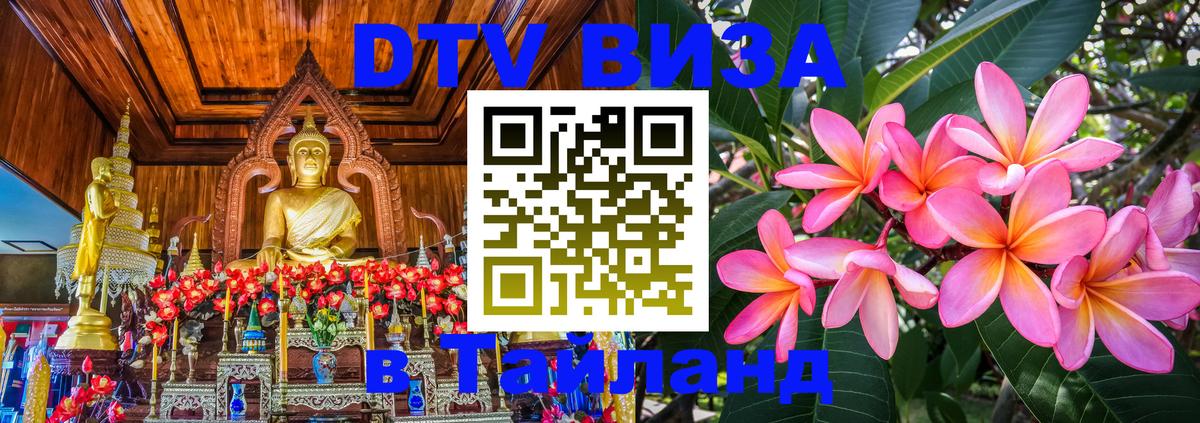 Сколько стоит DTV виза — актуальные цены, оформление даже без документов - 19.11.2025 